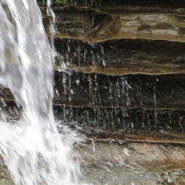 Wasser