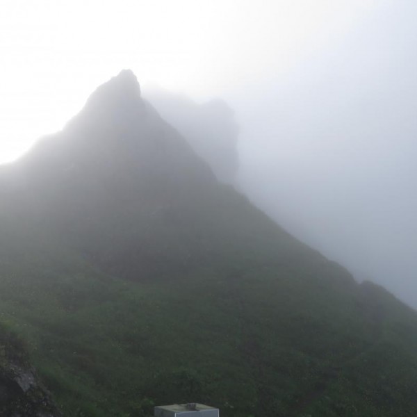 Nebel